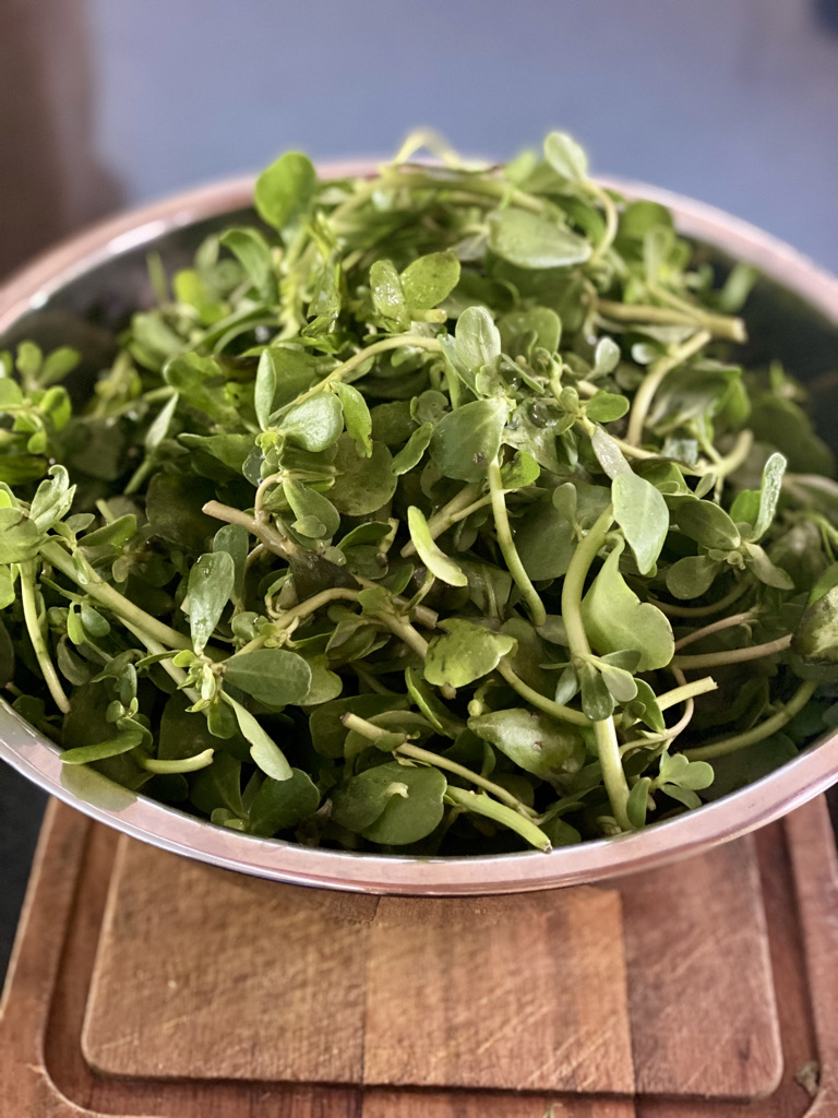 Purslane in bowl