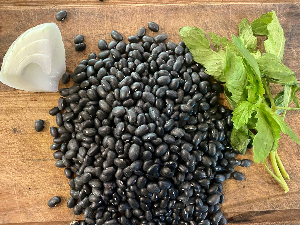 Dried black beans, epazote and onion