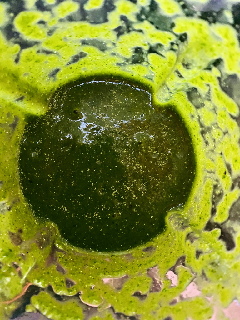 Green sauce mixture for green rice