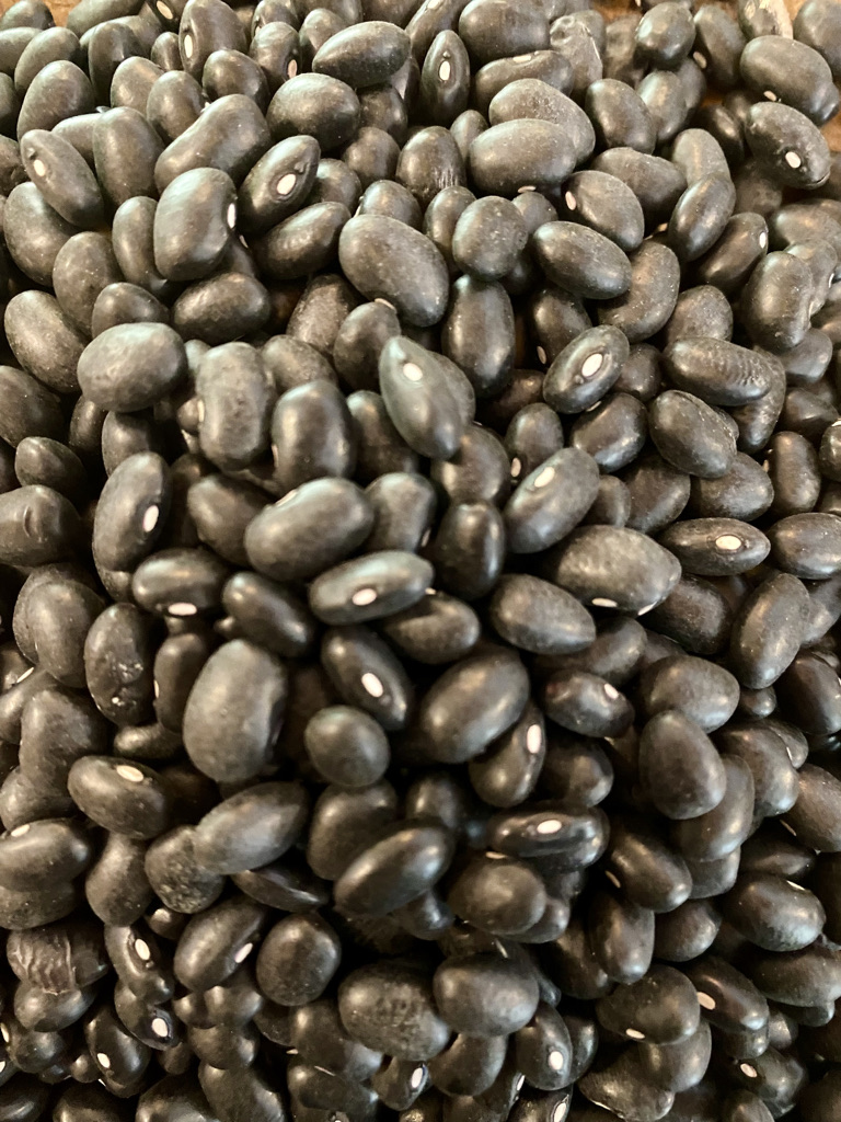 Close up dried black beans