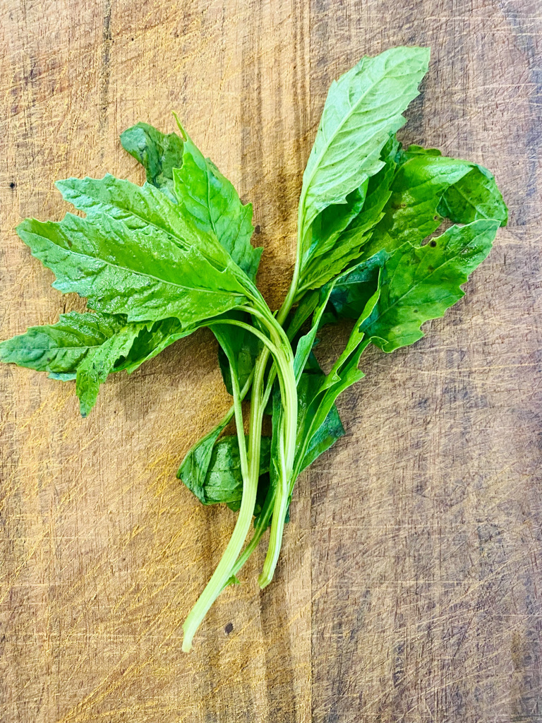 Epazote leaves