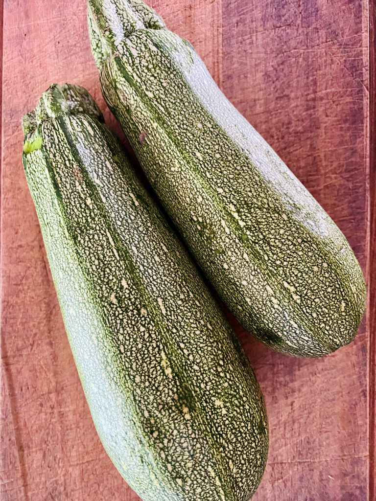 Mexican grey squash