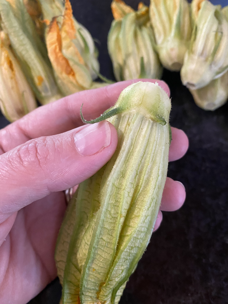 Spikes on the chalice of a squash blossom