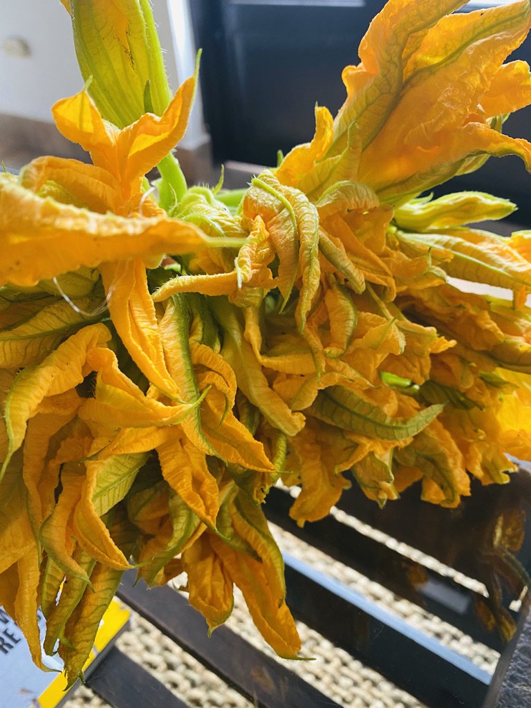 Small bunch of squash blossoms