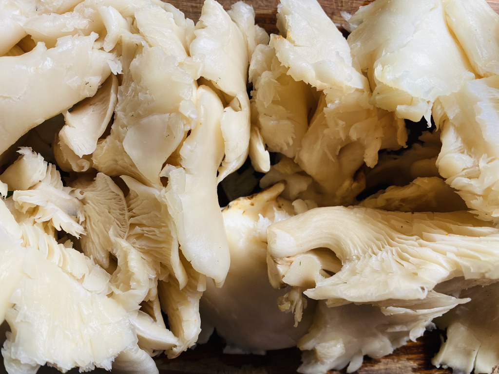 Close up oyster mushrooms