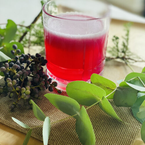 Red prickly pear fruit water in a glass