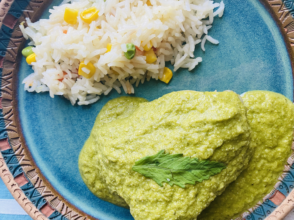 Close up mole verde with chicken