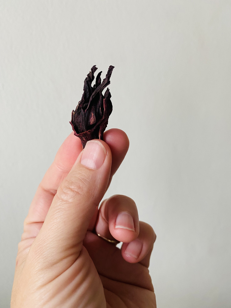Flor de jamaica, hibiscus flower