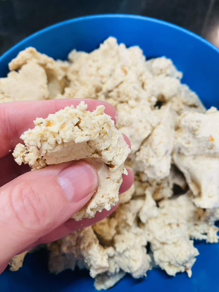 Wet tamal masa