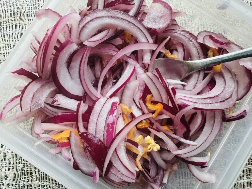 Sliced onions and habaneros in a plastic container
