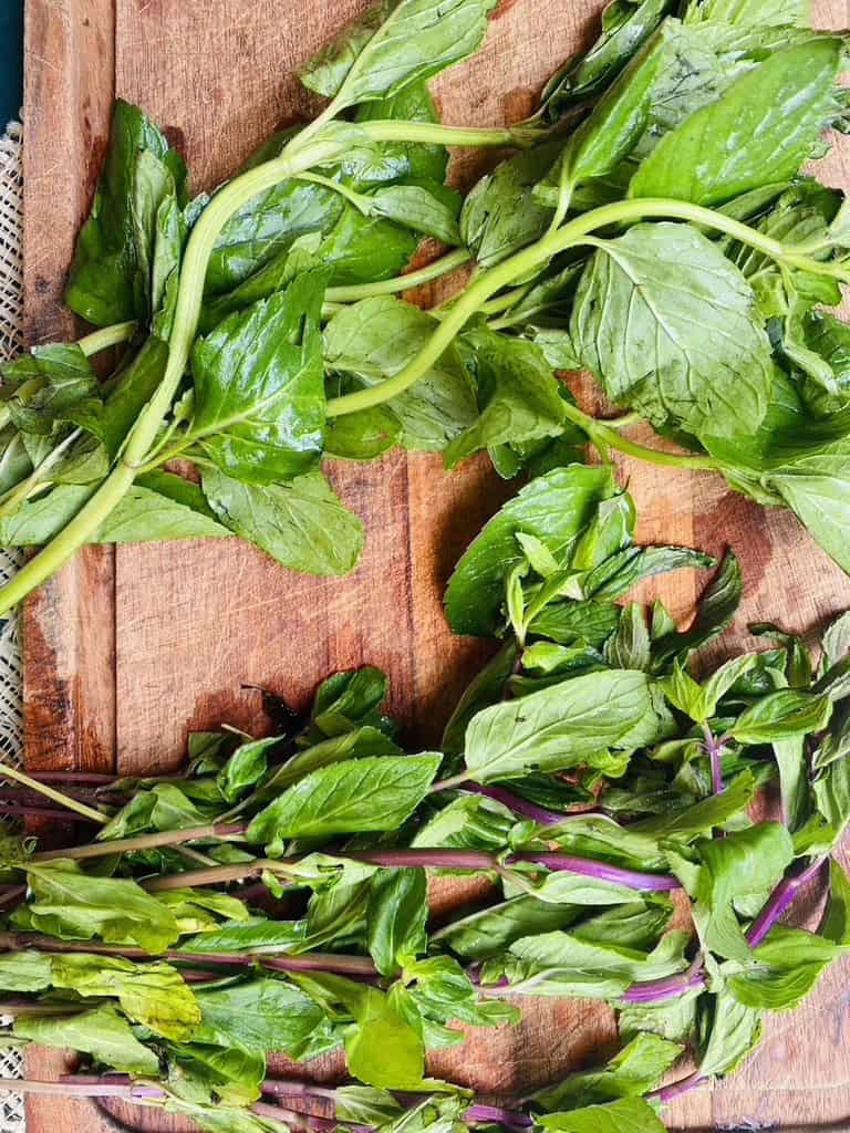 Spearmint and peppermint stalks side by side