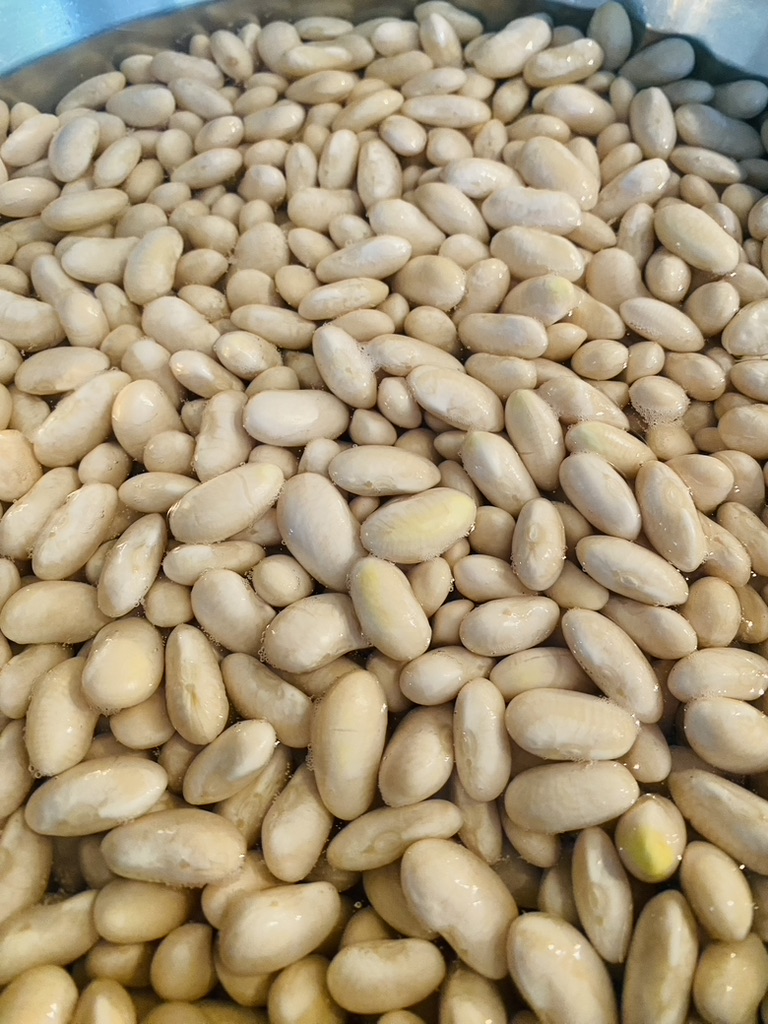 Peruvian beans after soaking in water