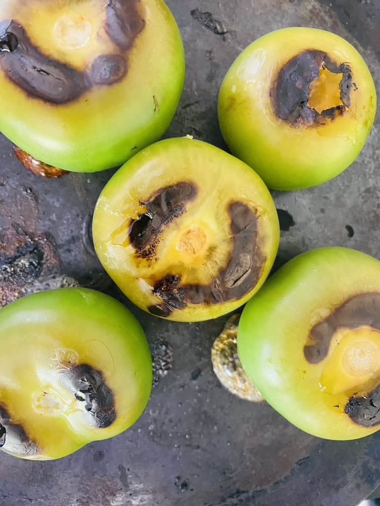 Tomatillos roasting on the griddle