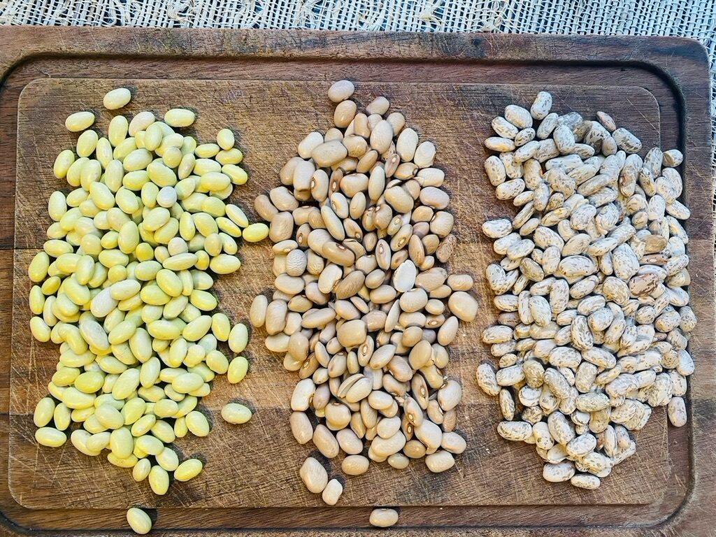 Peruvian, bayo and pinto beans on a wooden cutting board