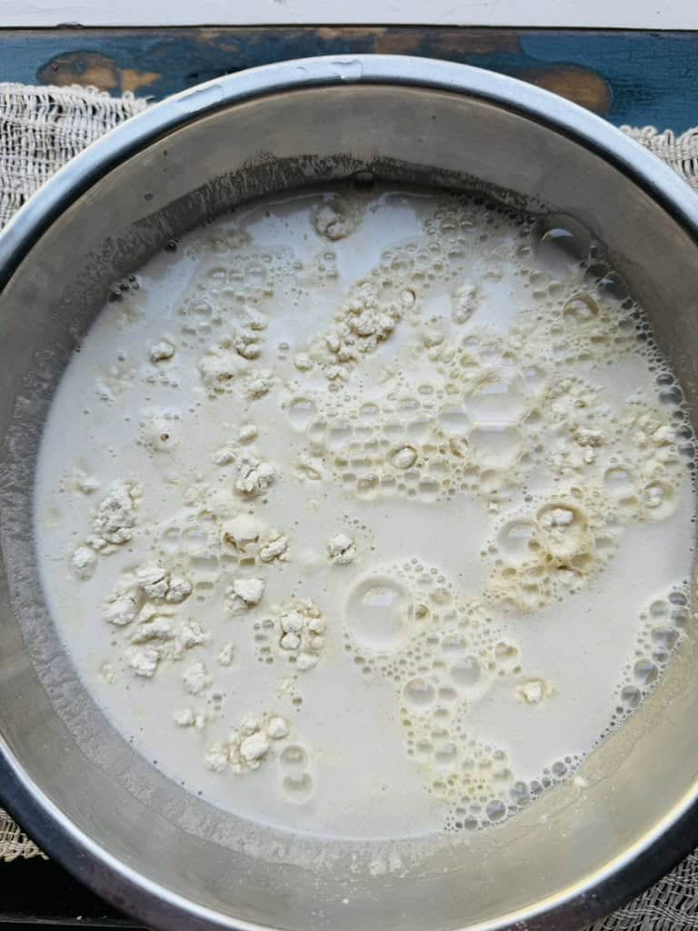 Masa harina in a bowl with warm water